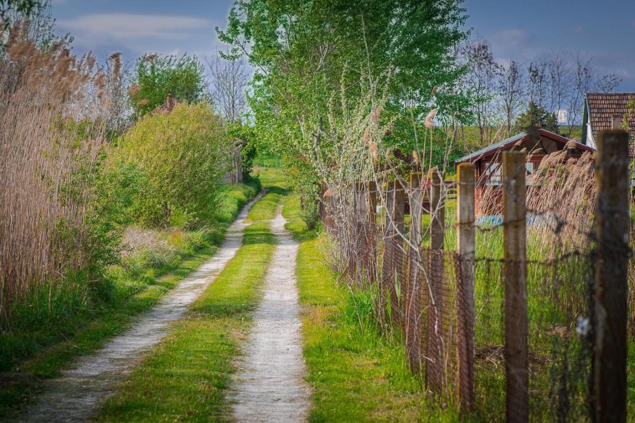 Etno Salas - Etno Ranch - Seosko Turisticko Domacinstvo Villa Palić Exterior foto