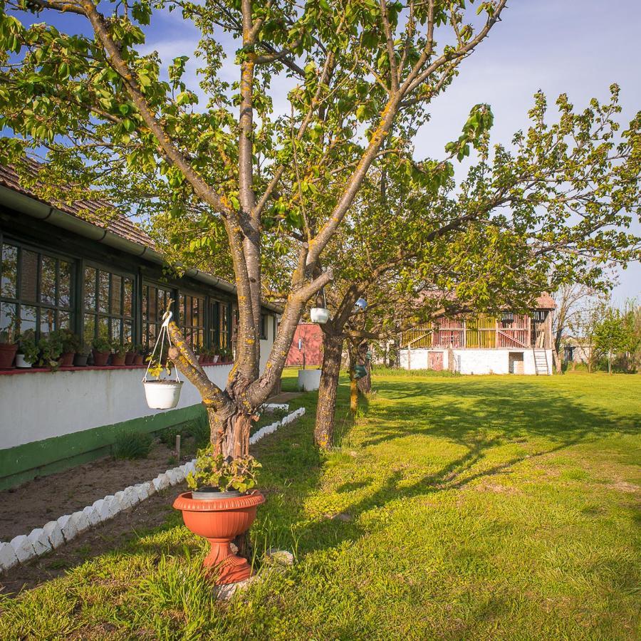 Etno Salas - Etno Ranch - Seosko Turisticko Domacinstvo Villa Palić Exterior foto